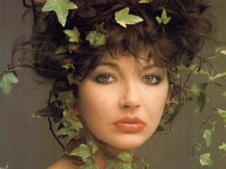 Kate Bush picture, image, poster